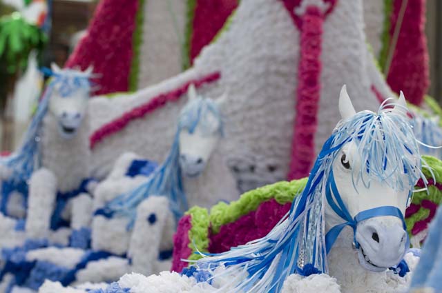 20090611_Lanimer_Day_0014