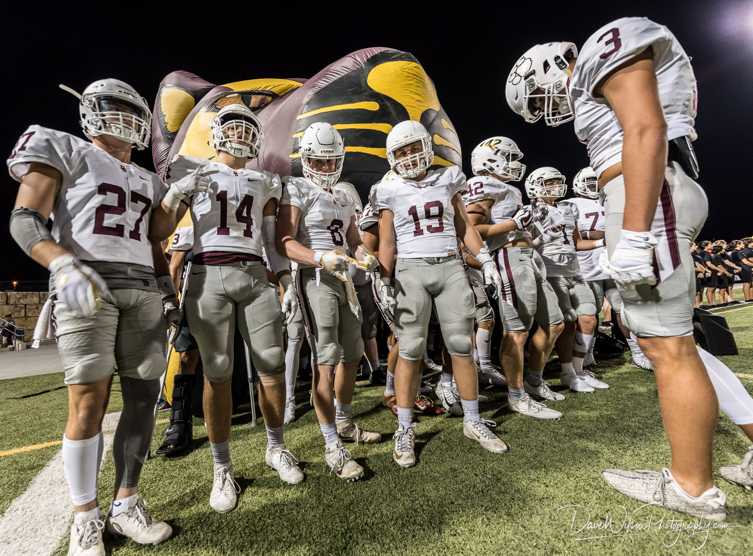 Tigers At Vista Ridge Dave Wilson Photography Tigers At Vista Ridge Dave Wilson Photography