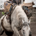 Determination | Dave Wilson Photography