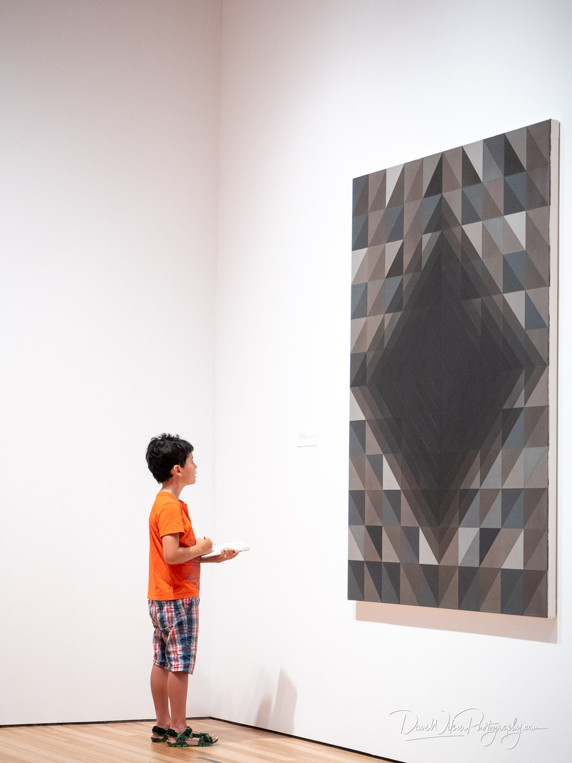 python patterns | dave wilson photography Images High... Jack Appreciating | Dave Wilson Photography